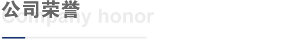 公司榮譽